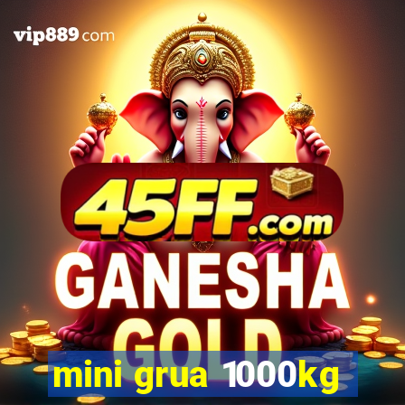 mini grua 1000kg